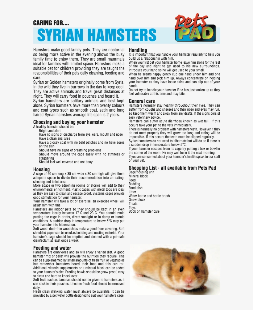 Hamster, transparent png #1953842