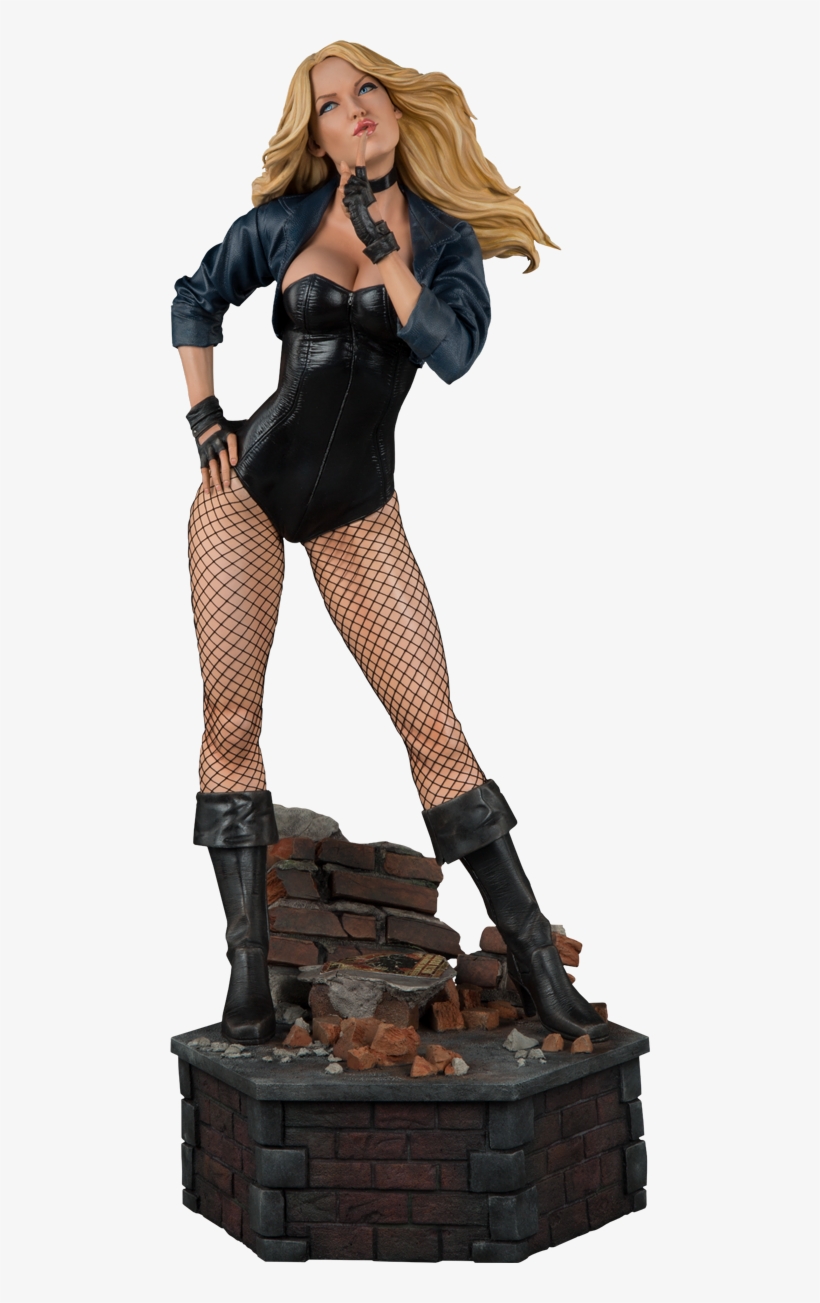 Parts And Accessories - Black Canary Premium Format Figure, transparent png #1953847