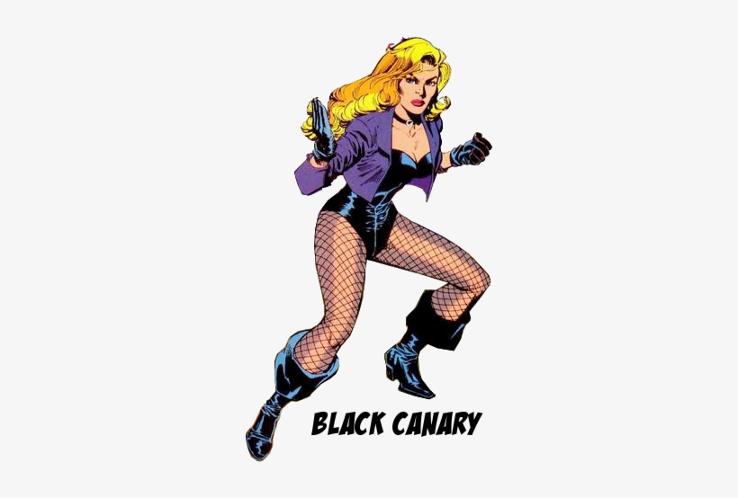 Original Black Canary Dc Comics, transparent png #1953911