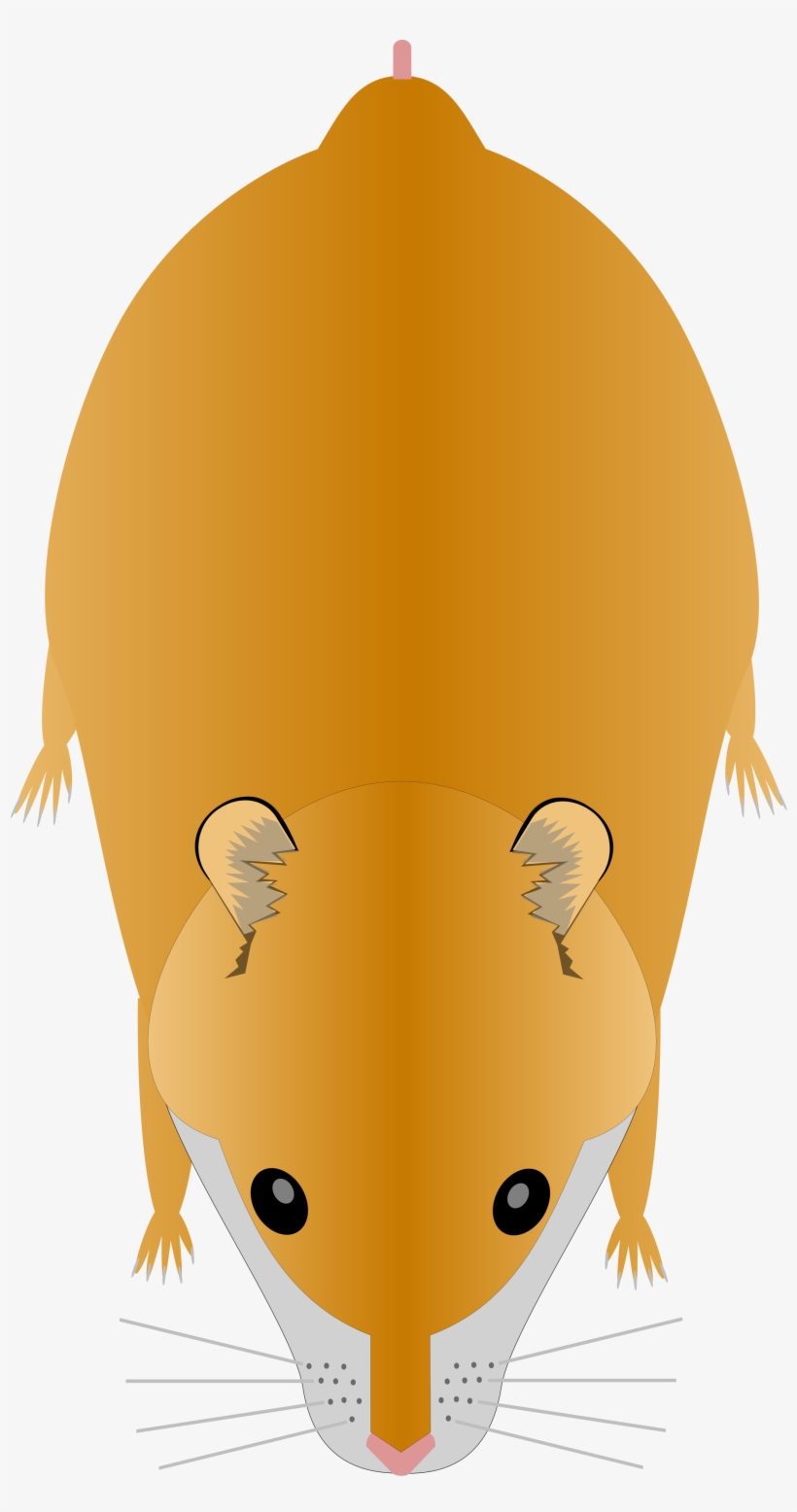 Open - Svg Hamster, transparent png #1953932