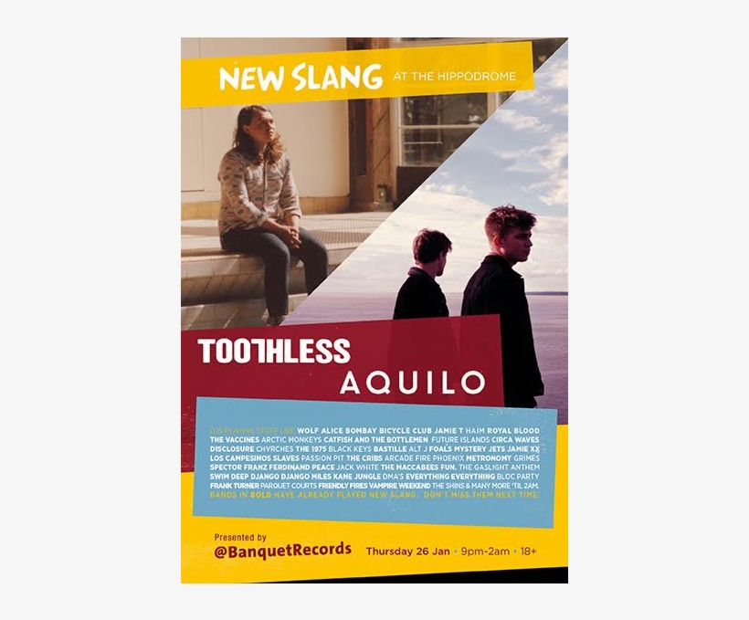 Toothless - Flyer, transparent png #1954541