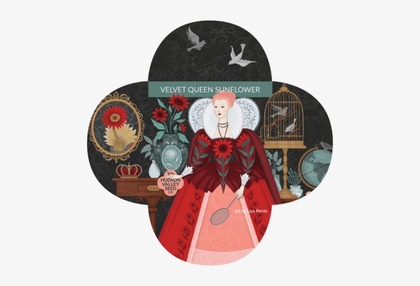 Organic Velvet Queen Sunflower Seeds - Seed, transparent png #1955165