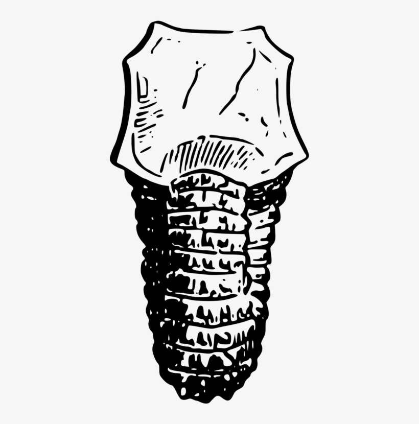 All Photo Png Clipart - Clip Art, transparent png #1955219