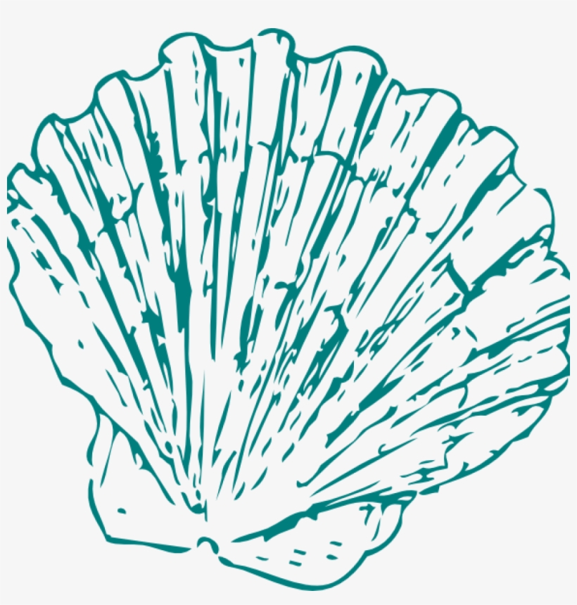 Seashell Clipart Greeen Sea Shell Clip Art At Clker - Cartoon Seashell Transparent Background, transparent png #1955356