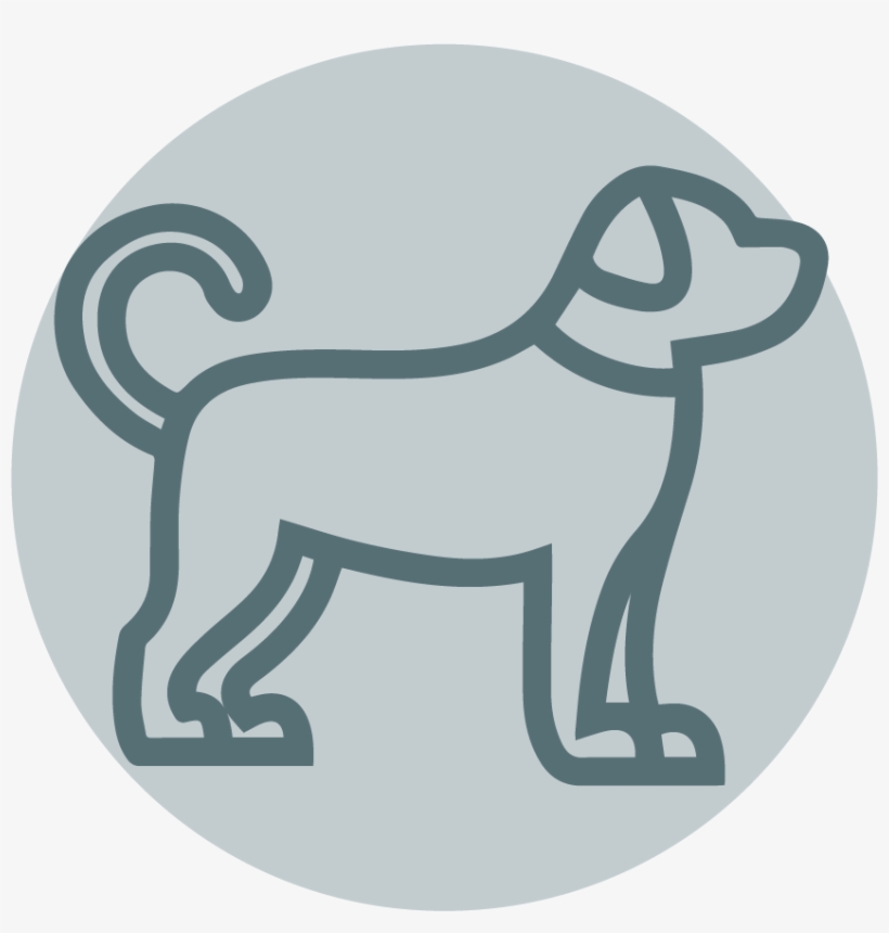 Dog Coupons - Ville De Saint Etienne, transparent png #1955532