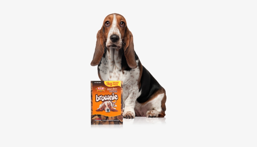 New Darrell Lea Pet Food Bosses To Target Premium Confectionery, - Dog, transparent png #1955562