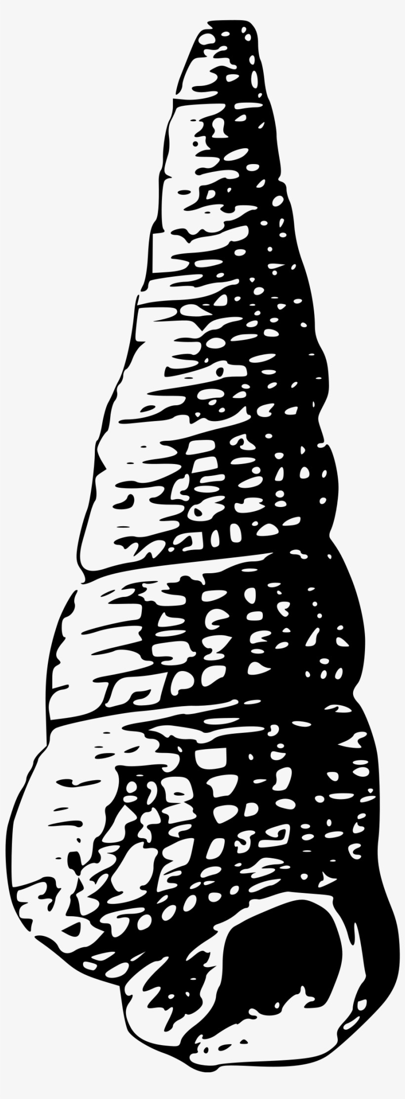Clipart - Silhouette Black And White Shell, transparent png #1955564
