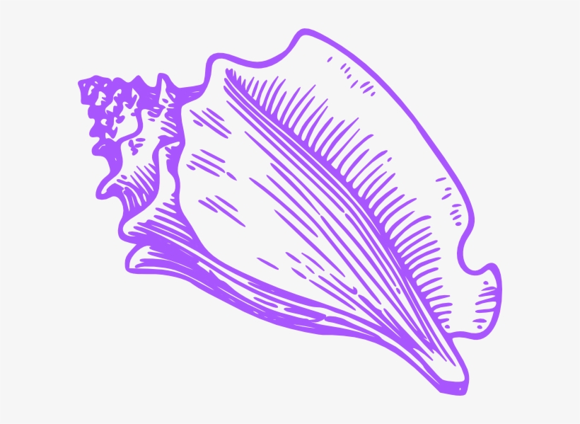 Conch Shell Clip Art - Conch Clipart, transparent png #1955683