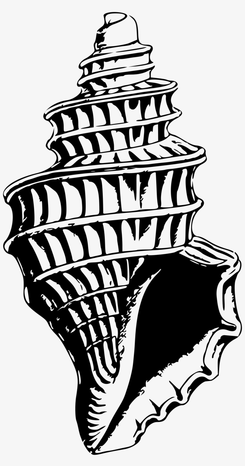 Clipart Seas Shell Png Seashell Clipart Pdf - Sangu Clipart, transparent png #1955685