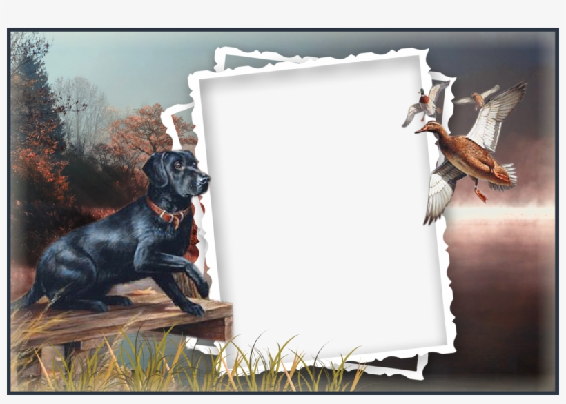 Clipart Dogs Picture Frame - Father's Day Frames Png, transparent png #1956006