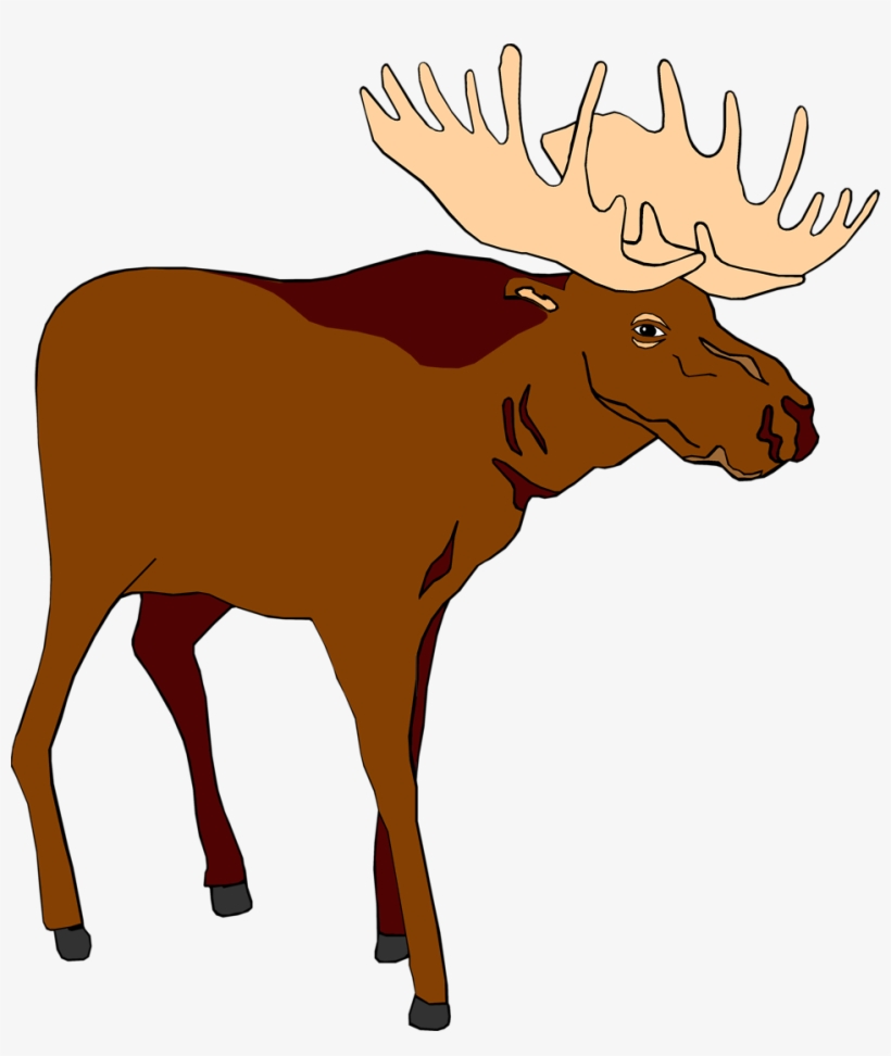 Moose - Moose Clipart, transparent png #1956026