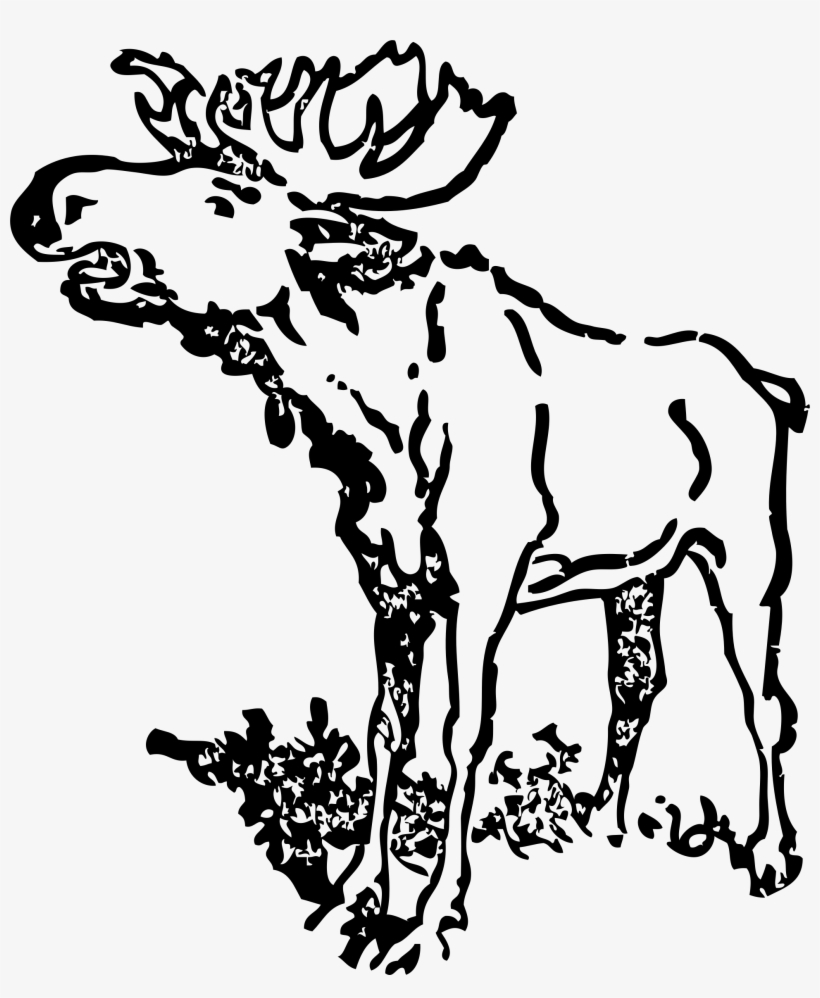 Moose Png, transparent png #1956052