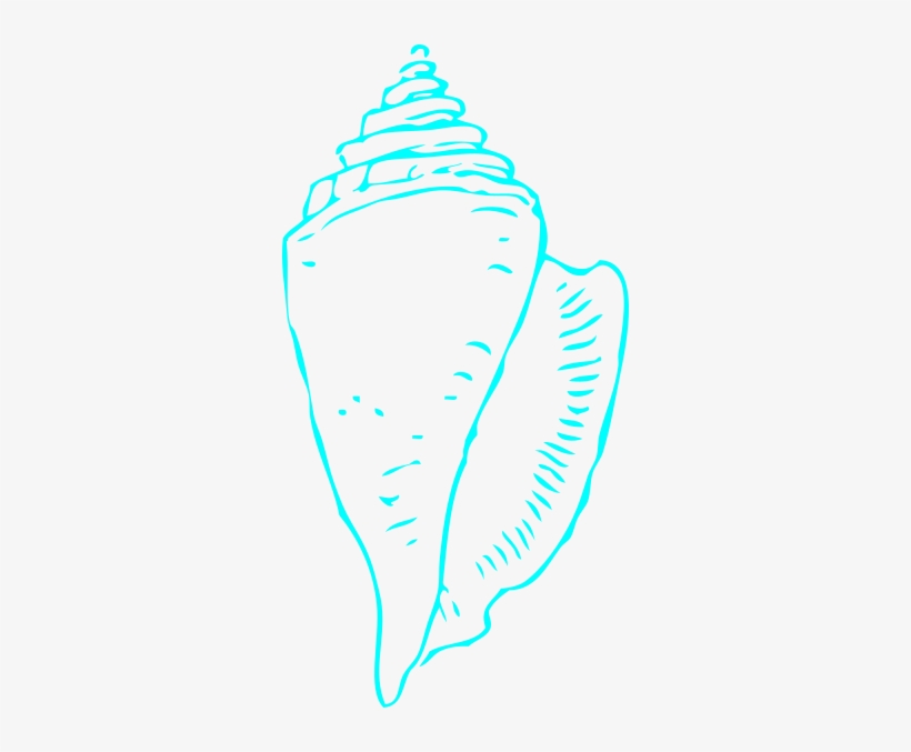 Seashell Clip Art, transparent png #1956138