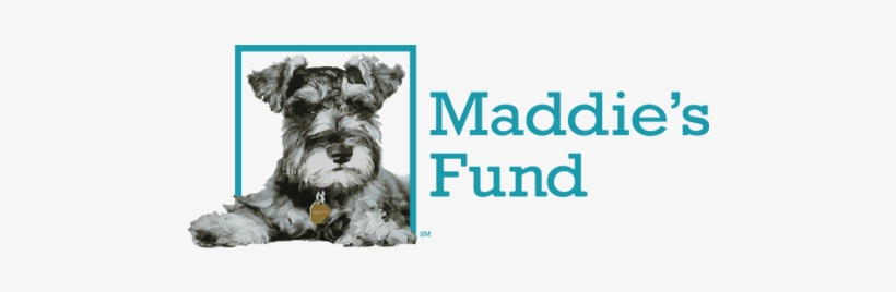 Maddie's Fund, transparent png #1956204