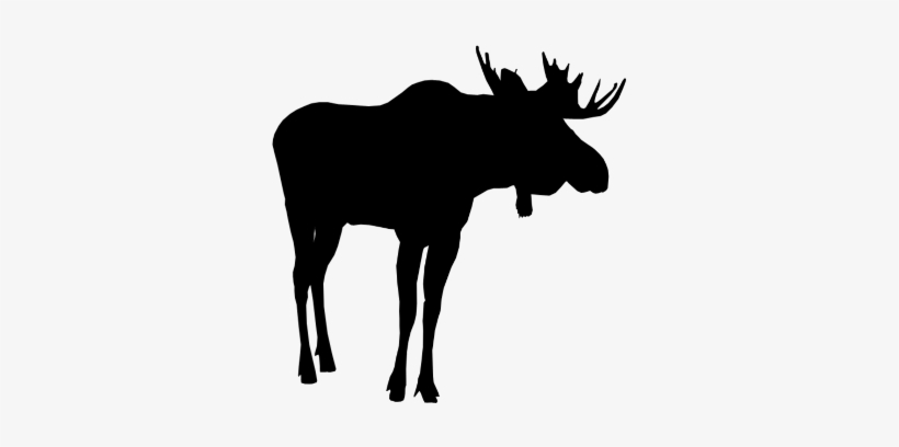 Silhouette, transparent png #1956347