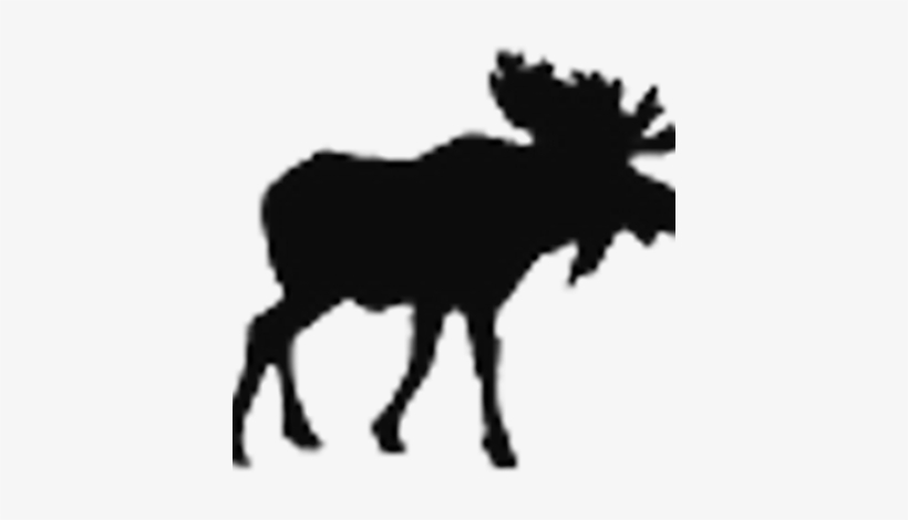 Moose Fm, transparent png #1956399
