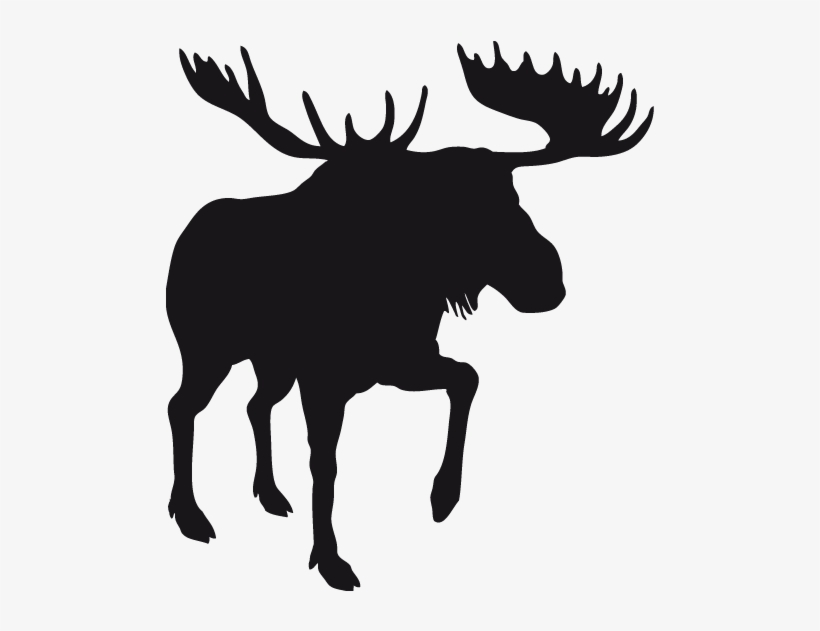 Stickers Moose - Cramahe, Ontario, transparent png #1956494