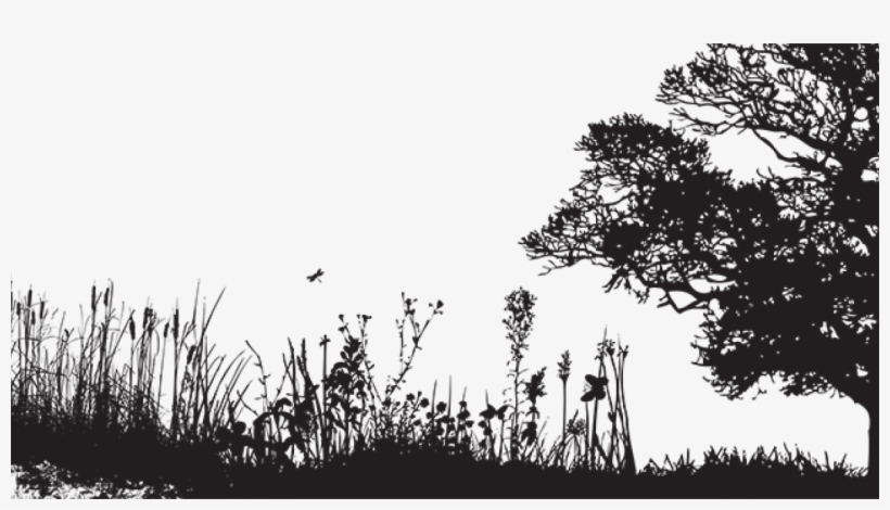 Living Sustainably In Place At Grinnell College Presents - Oak Tree Poem By Virginia Woolf, transparent png #1956724