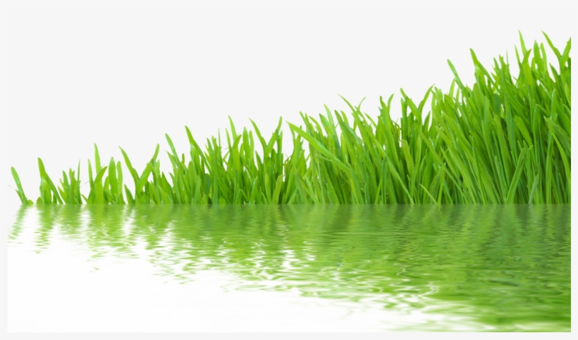 Next - Water, transparent png #1956759