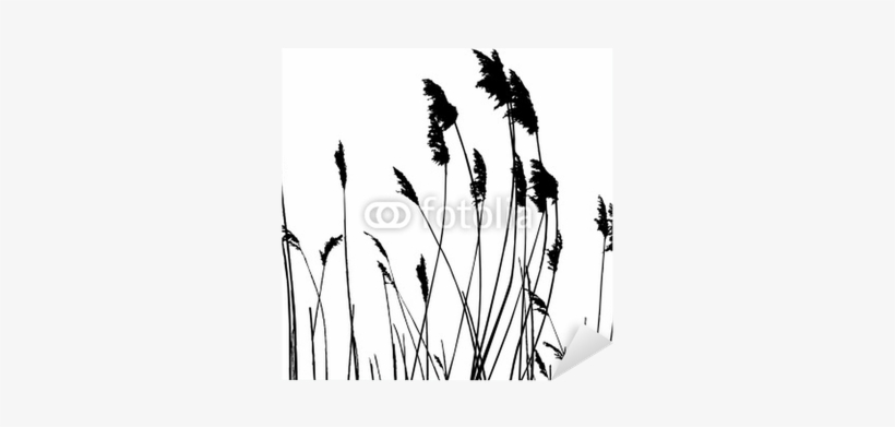 Real Grass Silhouette - Tall Grass Silhouette, transparent png #1956896