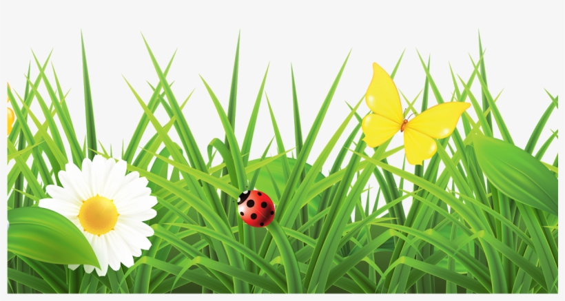 Grass With Flowers Png Hd, transparent png #1956989
