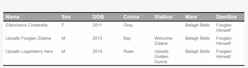 Belle - Portable Network Graphics, transparent png #1957863