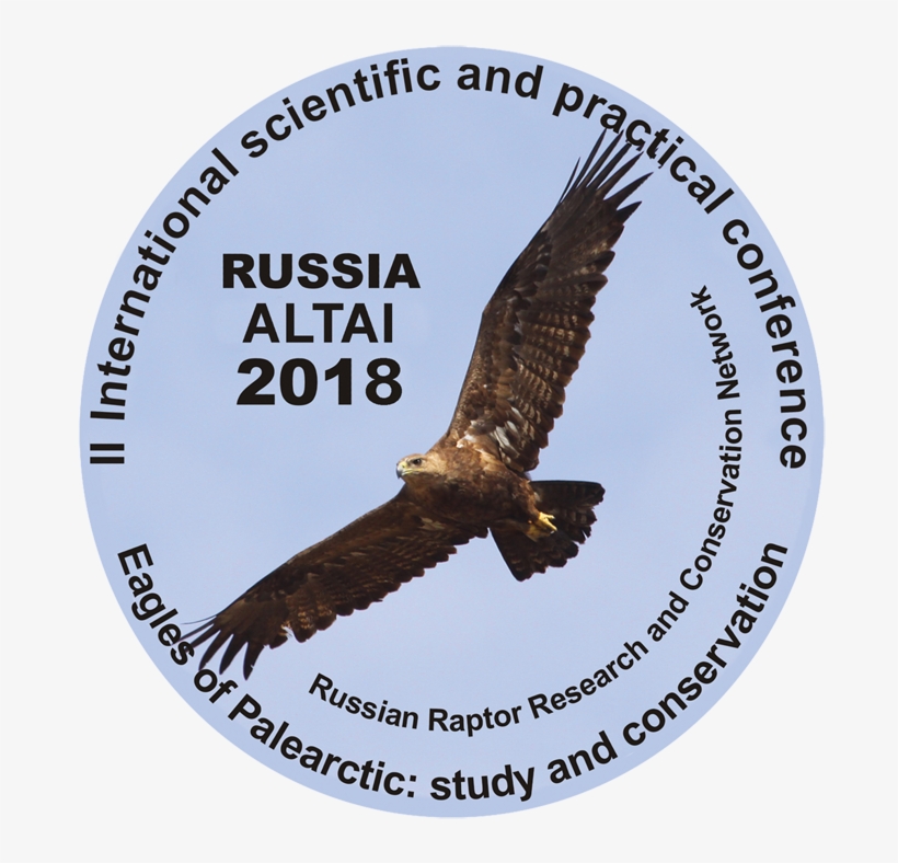 Altay Eagle, transparent png #1957913