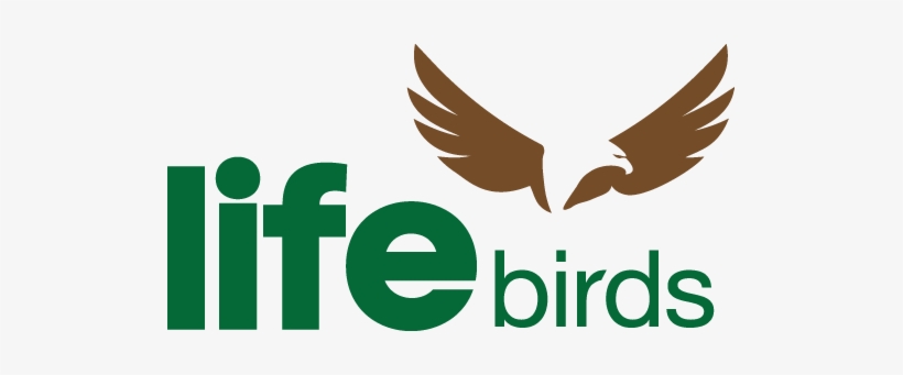 Lifebirds, transparent png #1958072