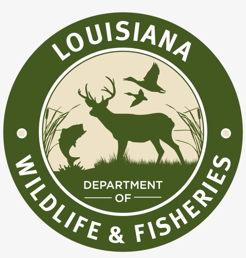 Louisiana Man Cited For Illegal Fish Sales - Louisiana Wildlife Fisheries, transparent png #1960064