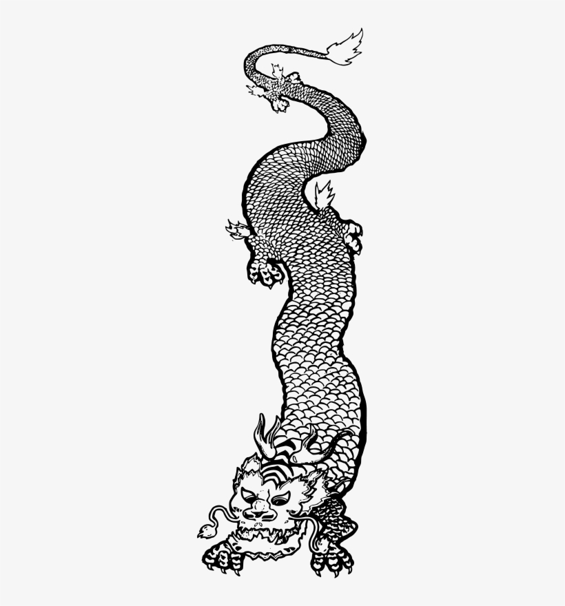 Asian Dragon Vector, transparent png #1960122