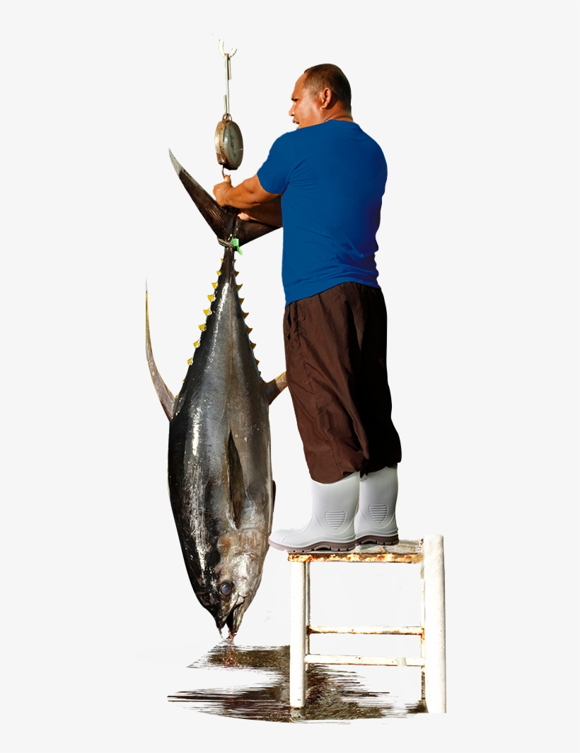 Marine Tuff Shrimp Boots - Pull Fish Out Of Water, transparent png #1960602
