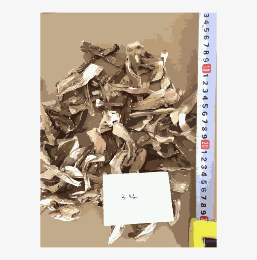 Scrap - Shiitake, transparent png #1961474