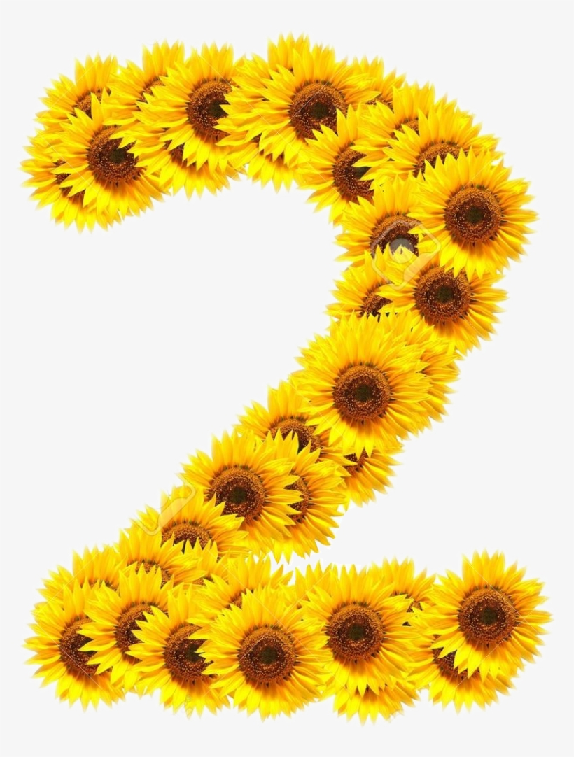 Report Abuse - Photography, transparent png #1962540