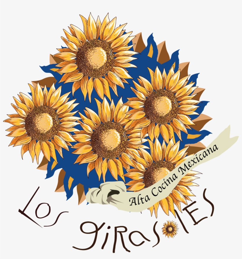 Los Girasoles - African Daisy, transparent png #1962723