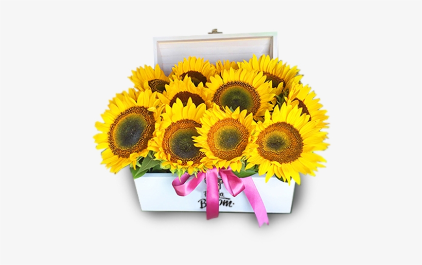 Baúl De Madera En Tono Blanco Adornado Con 16 Radiantes - Artificial Flower, transparent png #1962876