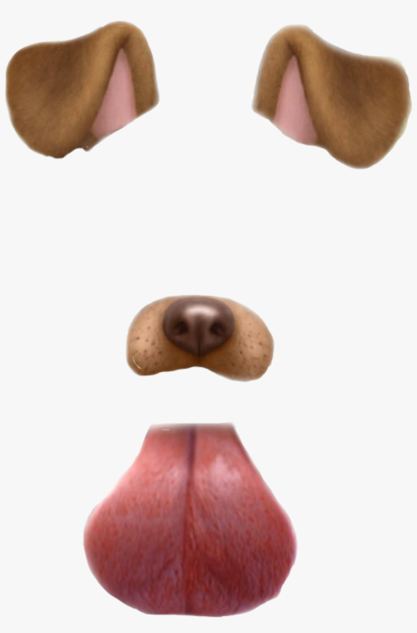 Report Abuse - Snapchat Dog Filter Png, transparent png #1964113