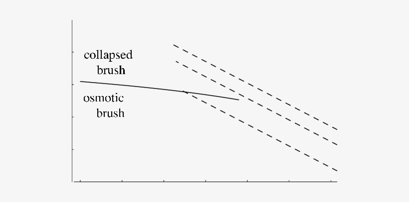 Typical Phase Diagram Of A Single Brush In Theta Solvent - Phase, transparent png #1965421