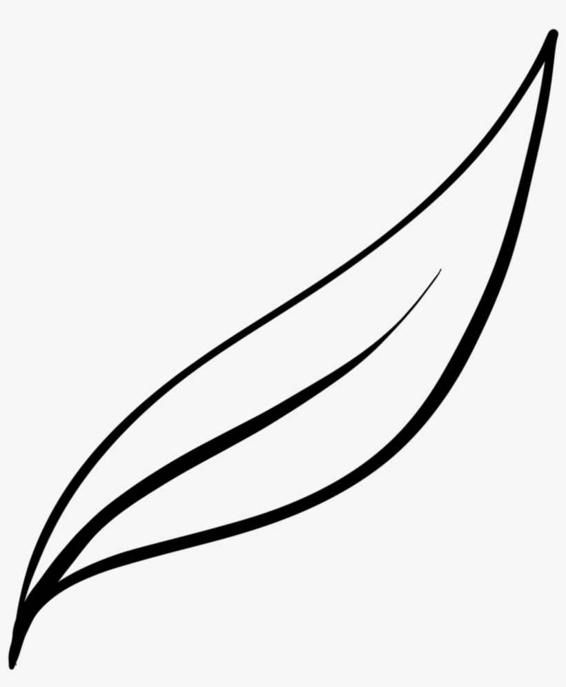 Illustration Brush Essentials - Line Art, transparent png #1965612