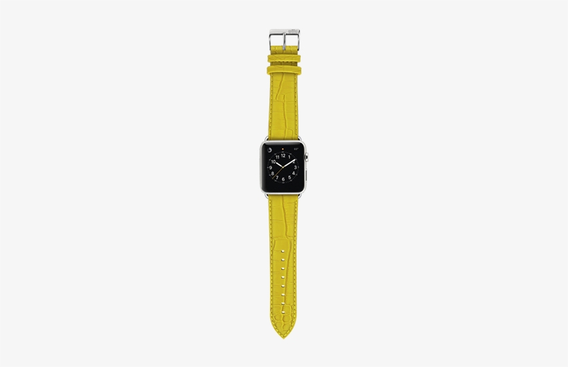 Sun Ray - Apple Watch Alligator Straps, transparent png #1965894
