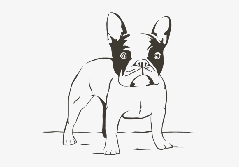 The Pet Project Atlanta Ga Pug - Bulldog Frances Para Colorear, transparent png #1966128