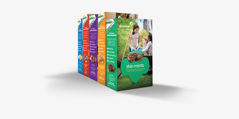 It's Girl Scout Cookie Season In Eastern Pennsylvania - Girl Scout S'mores Cookie 1 Box, transparent png #1967420