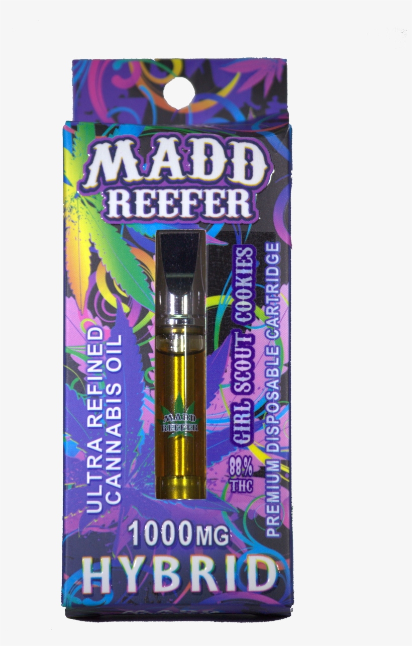 Previous - Kottak Rock And Roll Forever, transparent png #1968049