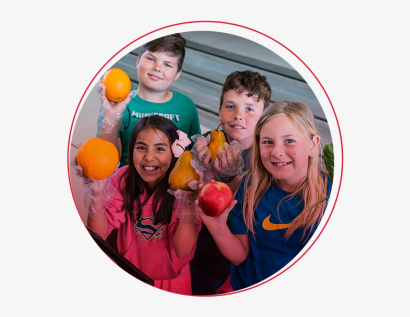 Photo Courtesy Virgin Mobile Usa - Skittles (sport), transparent png #1970522