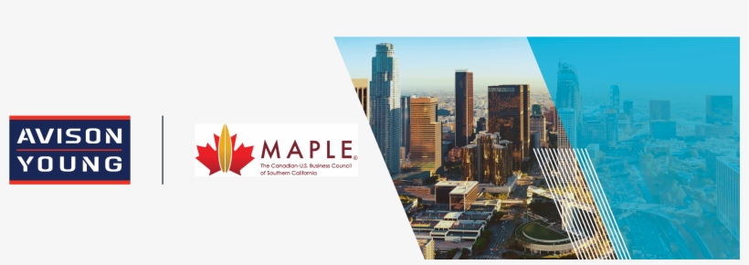Avison Young Southern California Joins Maple Business - Avison Young, transparent png #1970689