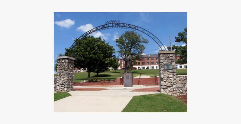 091411 National Top Hbcus Alabama A M University - Alabama A And M Campus, transparent png #1971051