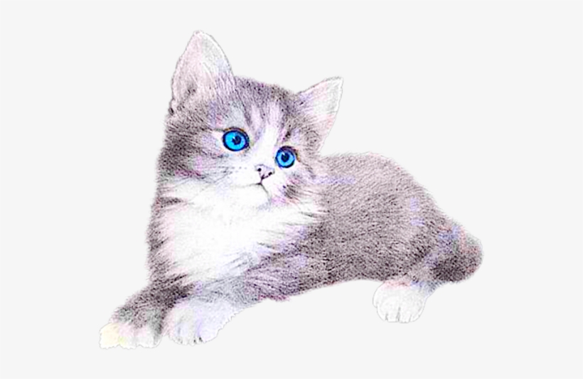 Kitten Free Images At Clker Com Vector - Котята Картинки, transparent png #1972102