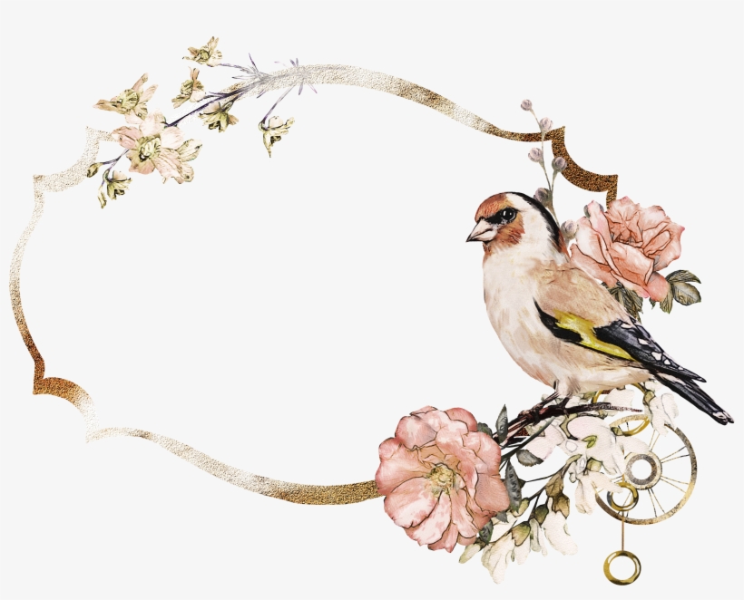 H956 - Design, transparent png #1973114