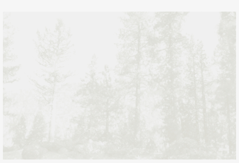 Ana Bg1 - Darkness, transparent png #1973407