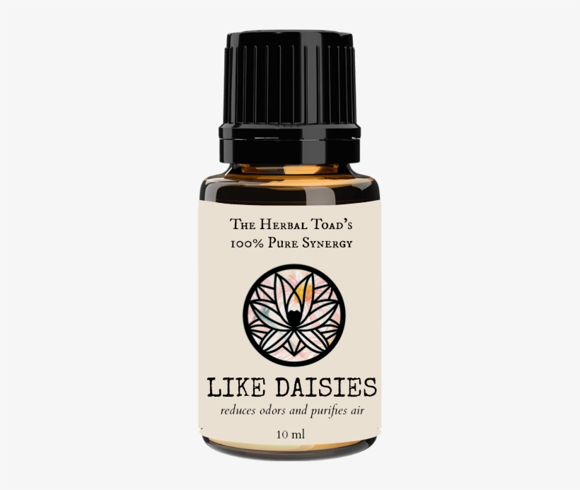 Like Daisies, transparent png #1974668