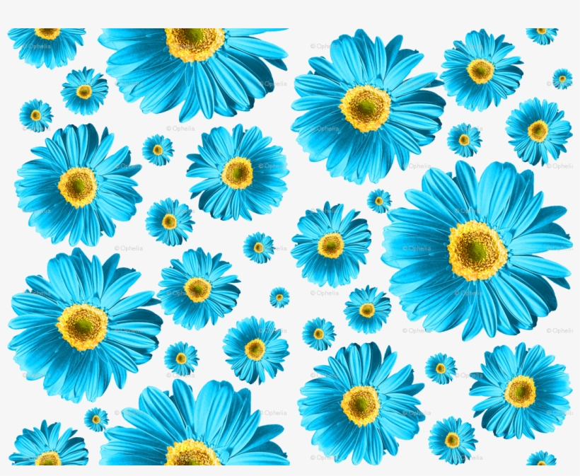 Fuchsia Daisies, transparent png #1974742